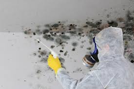 Best Commercial Mold Inspection  in Miamisburg, OH